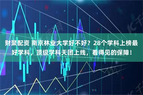 财聚配资 南京林业大学好不好？28个学科上榜最好学科，顶级学科天团上线，看得见的保障！