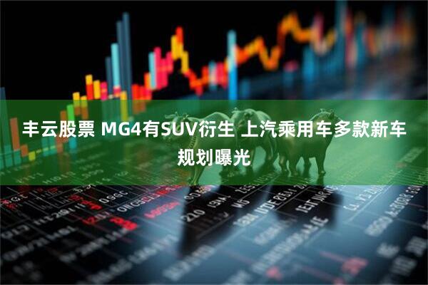 丰云股票 MG4有SUV衍生 上汽乘用车多款新车规划曝光