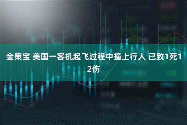 金策宝 美国一客机起飞过程中撞上行人 已致1死12伤