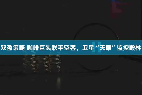 双盈策略 咖啡巨头联手空客，卫星“天眼”监控毁林