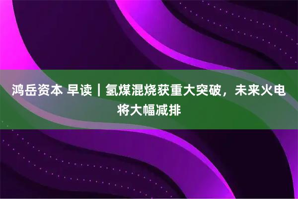 鸿岳资本 早读｜氢煤混烧获重大突破，未来火电将大幅减排