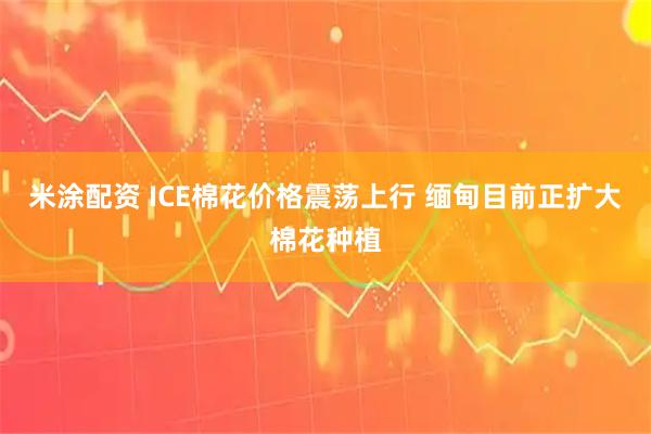 米涂配资 ICE棉花价格震荡上行 缅甸目前正扩大棉花种植